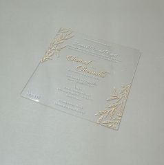 Wc-Ac001
